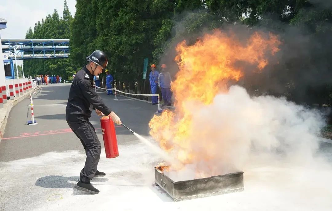 1690962764119239.jpg 640 (4).jpg